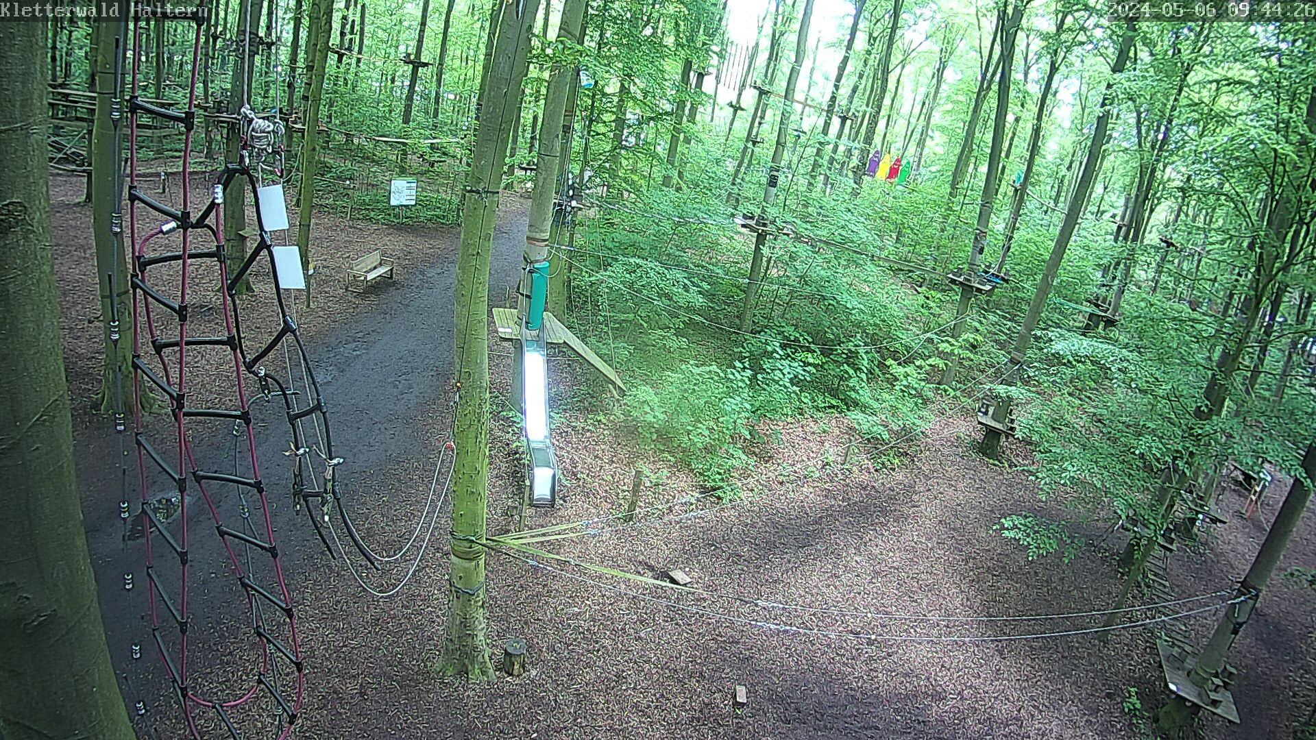 WebCam Kletterwald Haltern